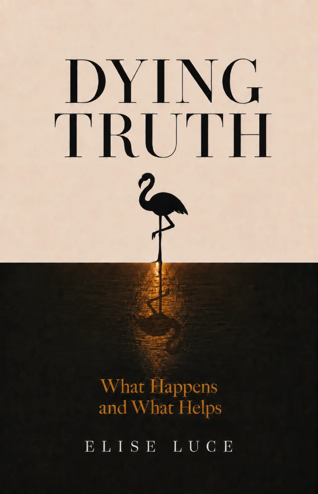 Cover of Dying Truth: What Happens and What Helps by Elise Luce