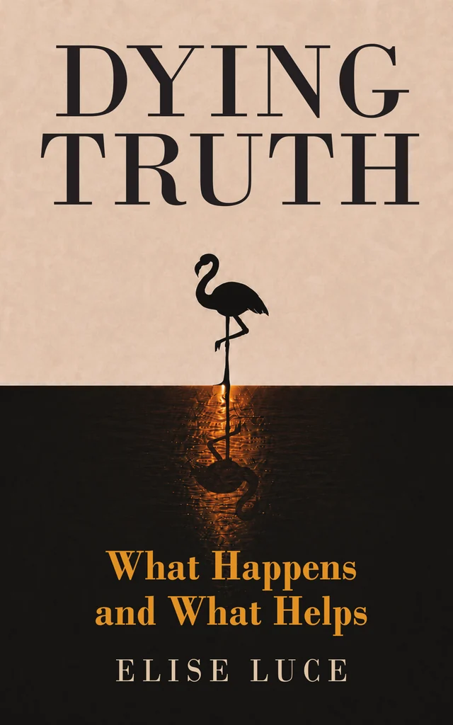 Cover of Dying Truth: What Happens and What Helps by Elise Luce